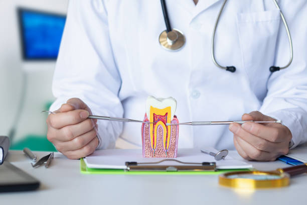 Best Emergency Orthodontic Repairs in Dorneyville, PA